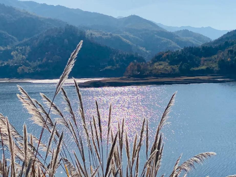 水波粼粼